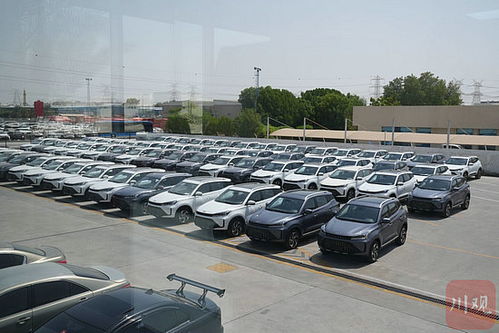 絲路花正開 阿聯(lián)酋丨四川整車闖中東汽車租賃市場